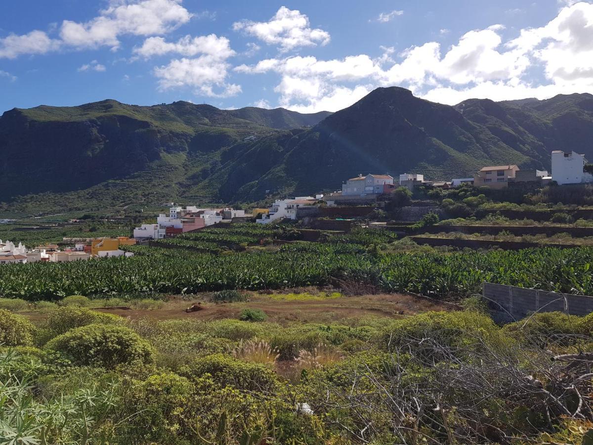 Teno Mountains&Bananas Garden House Apartment ลอส ซิลอส ภายนอก รูปภาพ